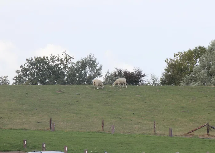 Sielhuus 9 Διαμέρισμα Fedderwardersiel